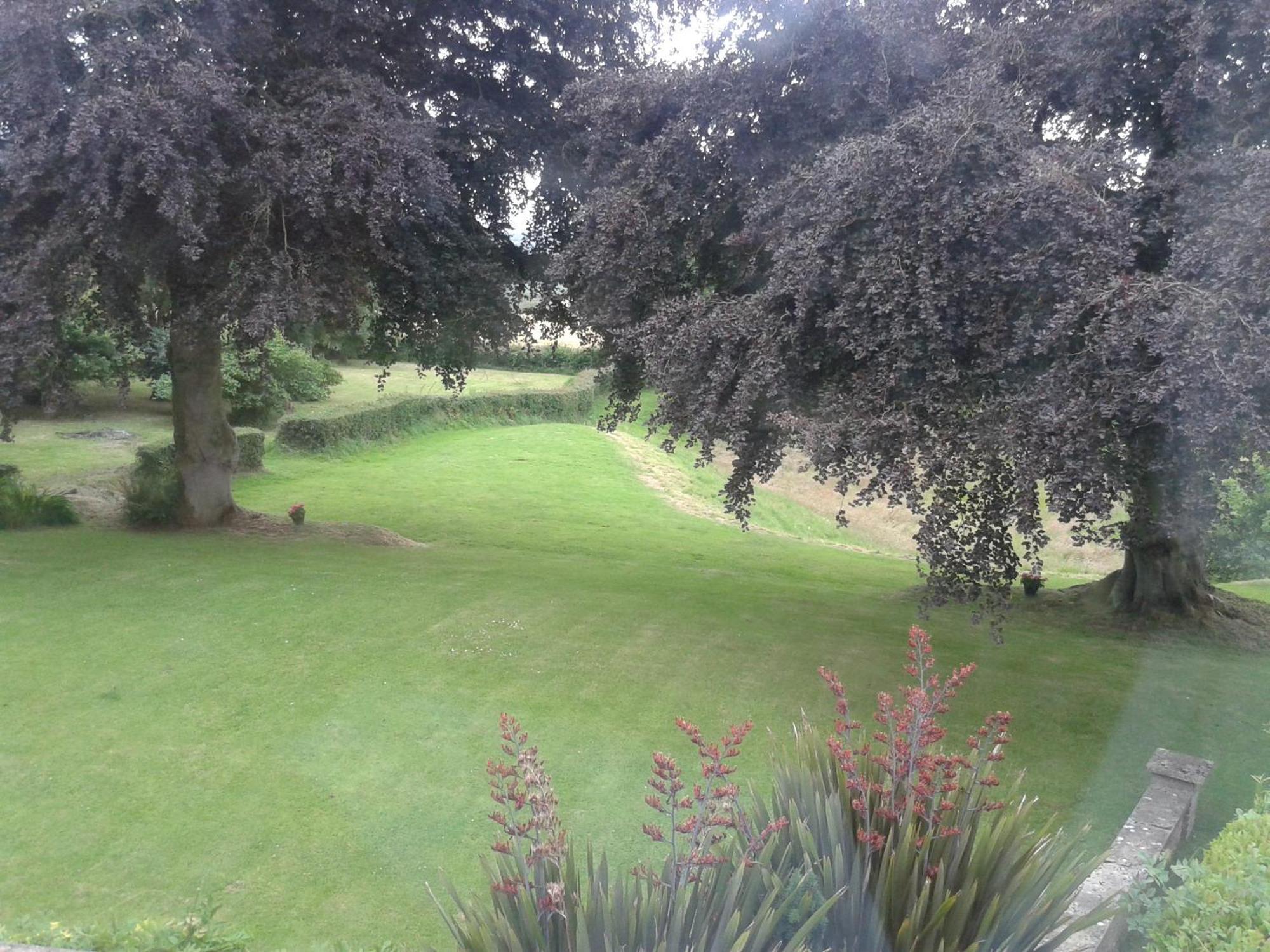 Buckley Farmhouse B & B Sidmouth Cameră foto